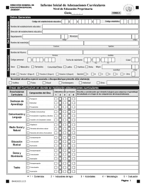 Informe Inicial De Adecuaciones Curriculares