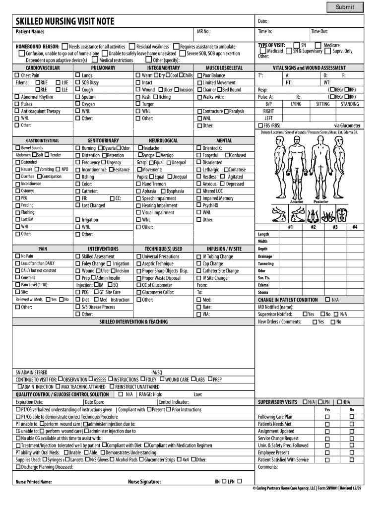 Skilled Nursing Visit Note Form