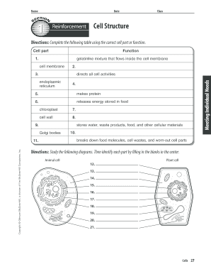 Reinforcement Cell Structure Answer Key  Form