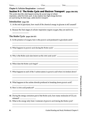 Section 9 2 the Krebs Cycle and Electron Transport Wordwise Form