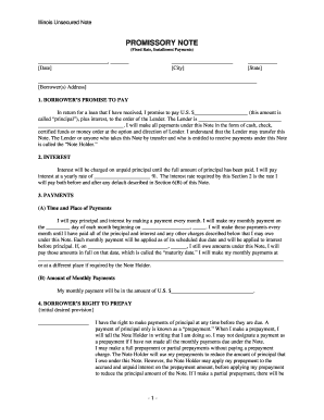 Promissory Note Template Illinois  Form