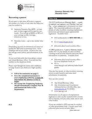 Deni Maternity Pay Form