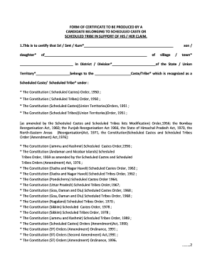 Ibps Sc St Certificate Format