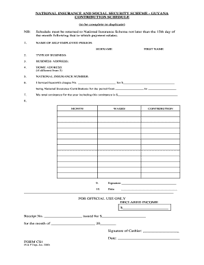 CS1 Payment Form for Self Employed Persons National