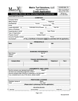 Credit Matrix Template  Form