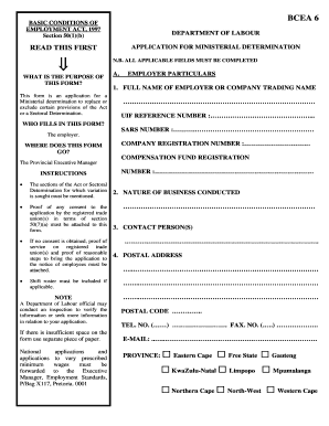 Bcea 6 Form