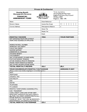 Financial Assessment Example  Form
