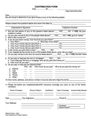 Dss 8176  Form