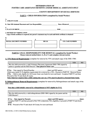 Dss 5120  Form