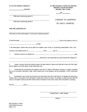 Petition Adoption  Form