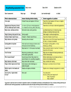 Breastfeeding Assessment Form