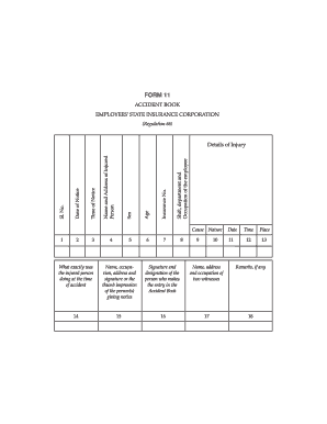 Esic Accident Register Format in Excel