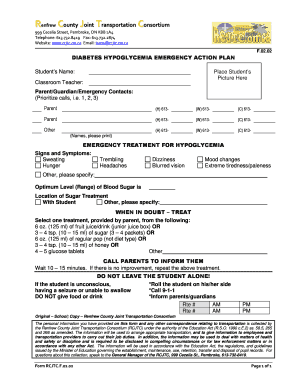 Printable Emergency Action Plan Template  Form
