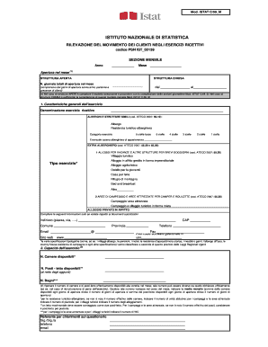 Modello Istat C59 Word  Form