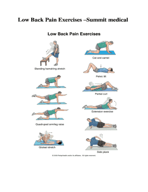 Low Back Pain Exercises PDF  Form