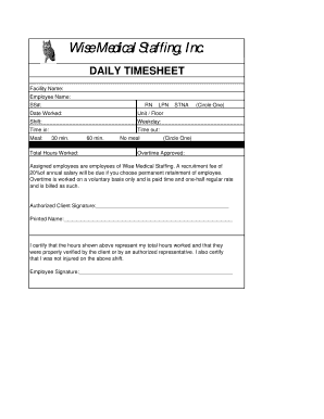 Wise Medical Staffing Timesheet  Form