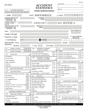 Stats19  Form