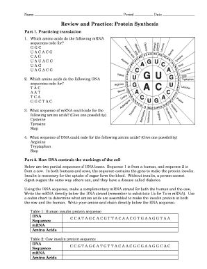 Review and Practice Protein Synthesis  Form