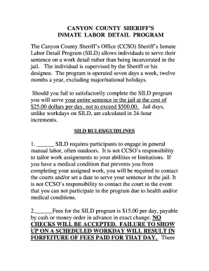 Canyon County Sild  Form