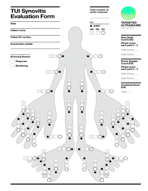 TUI Synovitis Evaluation Form MSR Msr