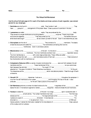 The Virtual Cell Worksheet Answer Key  Form