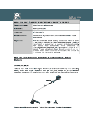 Safety Bulletin Template  Form