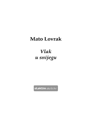 Vlak U Snijegu PDF  Form