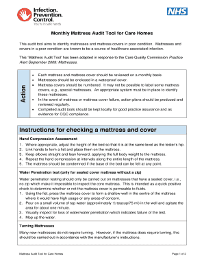 Mattress Audit Tool for Care Homes  Form