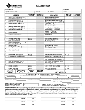 Download Financial Statement Form Farm Credit