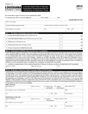 Louisiana Declaration of Electronic Filing Form