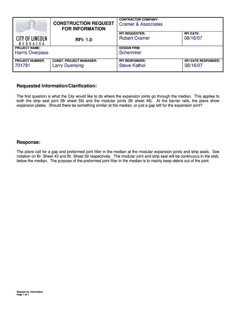 Rfi Form PDF