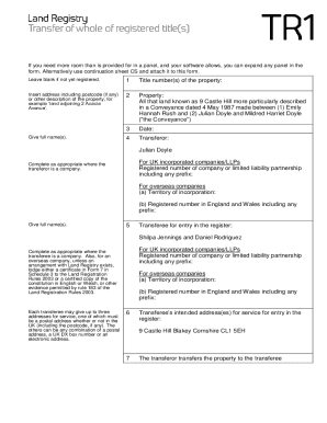 Tr1 Form Completed Example