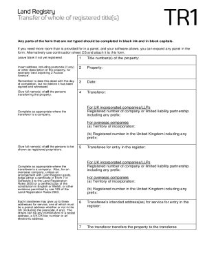 Tr1 Form Completed Example