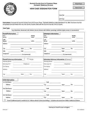 Write New Case in Summit County Ohio  Form