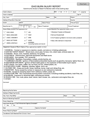 OHIO BURN INJURY REPORT Ohio Department of Commerce  Form