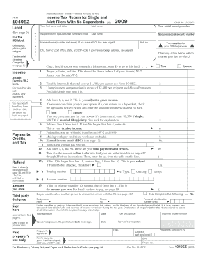 Form 1040EZ VITA Vita Volunteers