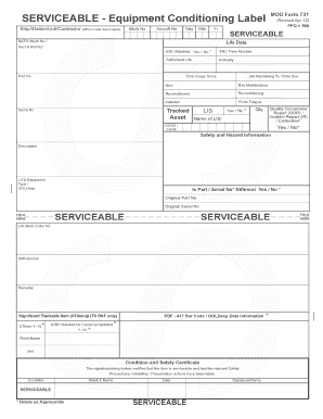 Mod Form 731