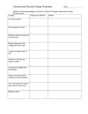 Physical Change and Chemical Change Worksheet  Form