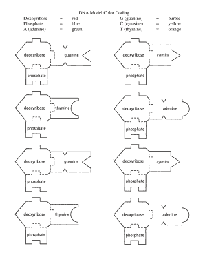 Dexoyribos  Form