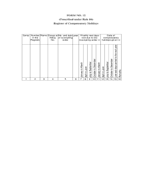 Compensatory off Format in Excel