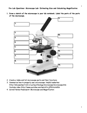 Microscope Activity Worksheet PDF  Form