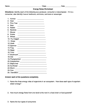 Energy Roles Worksheet Answer Key  Form