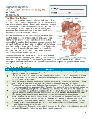 Digestive System Haspi Answer Key  Form