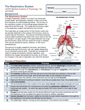 The Respiratory System Haspi Medical Anatomy and Physiology 14a Lab Activity Answers  Form