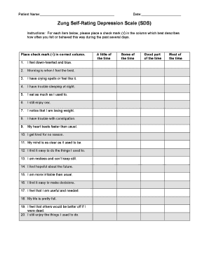 Sds Depression Scale  Form