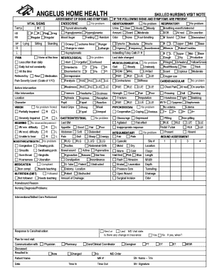 Home Health Skilled Nursing Visit Note Examples  Form