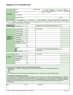 Oppgave over Inntektsforhold Nes Kommune  Form