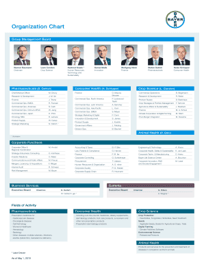 Bayer Organizational Structure  Form
