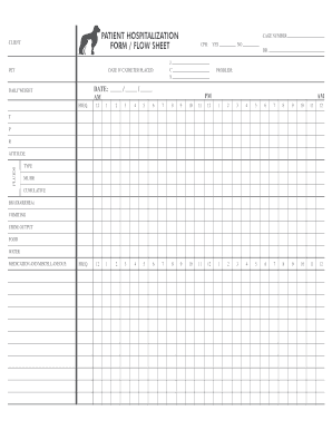 PATIENT HOSPITALIZATION FORM FLOW SHEET