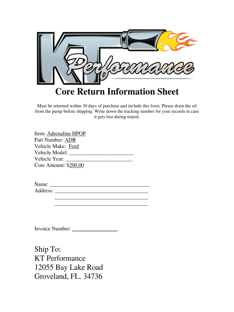 Core Return Information Sheet KT Performance